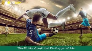 “Bản đồ” biến số quyết định Kèo tổng góc lẻ/chẵn