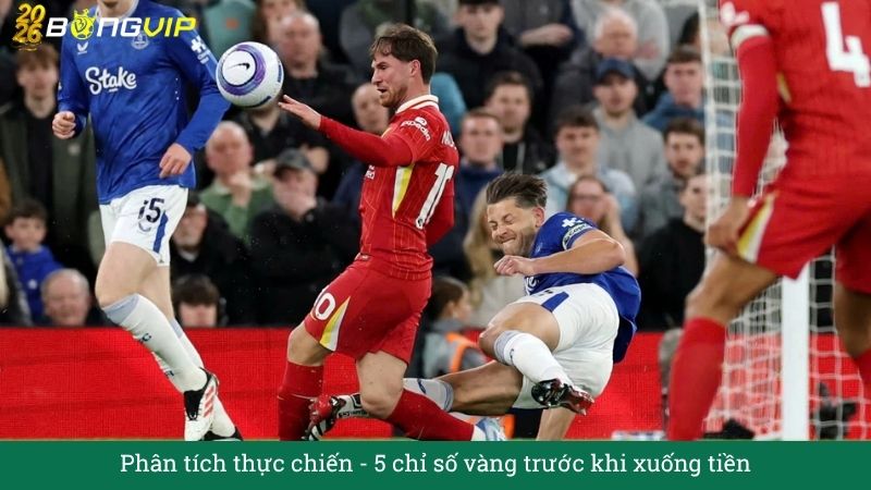 Phân tích thực chiến: 5 chỉ số vàng trước khi xuống tiền