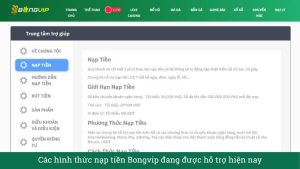 Các hình thức nạp tiền Bongvip đang được hỗ trợ hiện nay