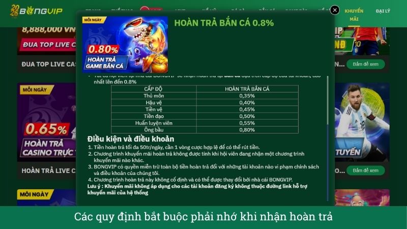 Các quy định bắt buộc phải nhớ khi nhận hoàn trả
