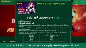 Chính sách Hoàn trả Live Casino Bongvip hoạt động như thế nào?