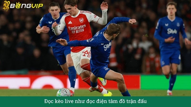 Đọc kèo live như đọc điện tâm đồ trận đấu