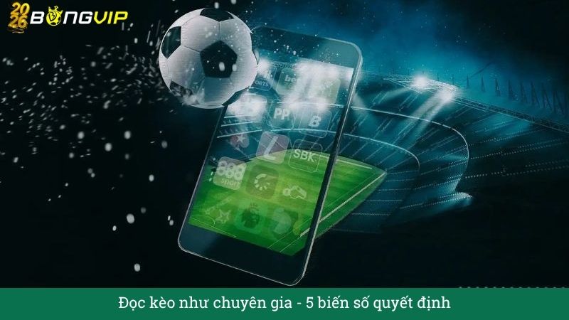 Đọc kèo như chuyên gia: 5 biến số quyết định