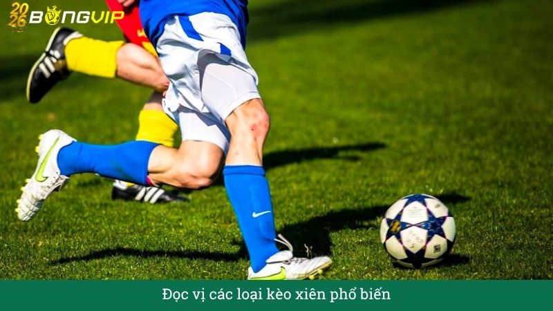 Đọc vị các loại kèo xiên phổ biến