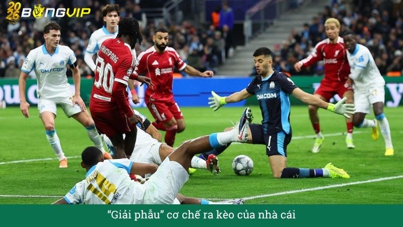 “Giải phẫu” cơ chế ra kèo của nhà cái