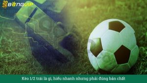 Kèo 1/2 trái là gì, hiểu nhanh nhưng phải đúng bản chất