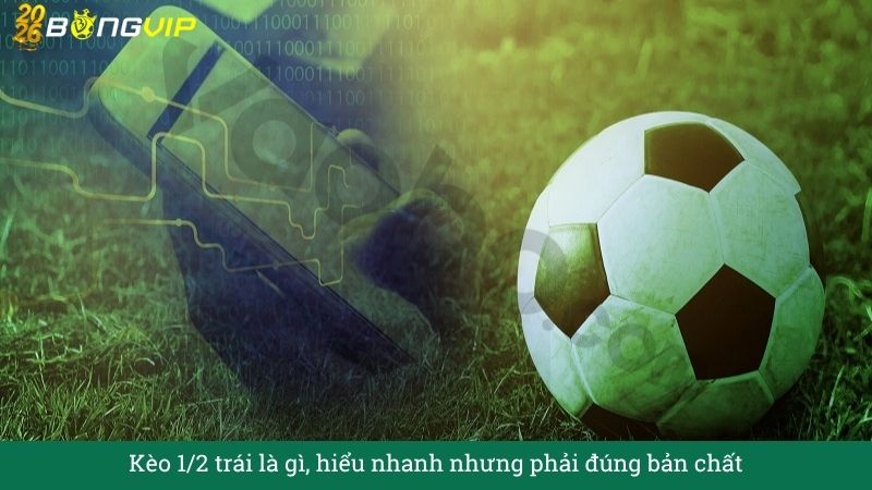 Kèo 1/2 trái là gì, hiểu nhanh nhưng phải đúng bản chất