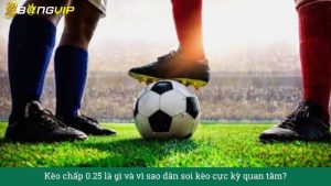 Kèo chấp 0.25 là gì và vì sao dân soi kèo cực kỳ quan tâm?