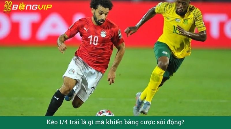 Kèo 1/4 trái là gì mà khiến bảng cược sôi động?