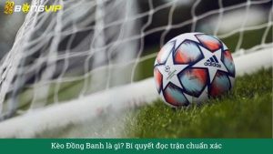 Kèo Đồng Banh là gì? Bí quyết đọc trận chuẩn xác
