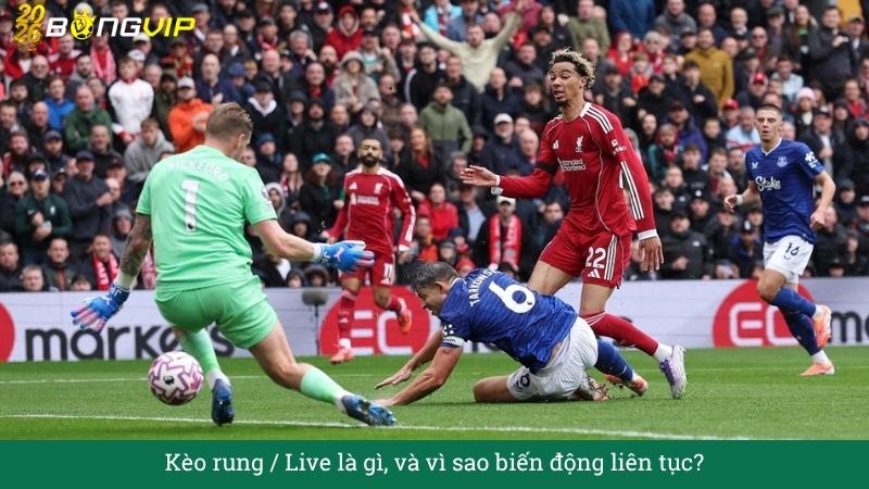 Kèo rung / Live là gì, và vì sao biến động liên tục?