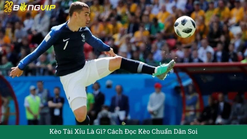 Kèo Tài Xỉu Là Gì? Cách Đọc Kèo Chuẩn Dân Soi