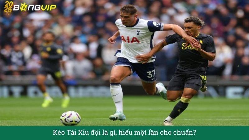 Kèo Tài Xỉu đội là gì, hiểu một lần cho chuẩn?