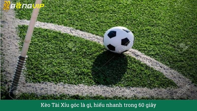 Kèo Tài Xỉu góc là gì, hiểu nhanh trong 60 giây