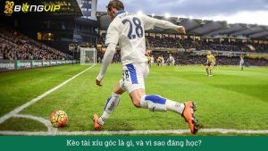 Kèo tài xỉu góc là gì, và vì sao đáng học?