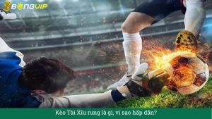 Kèo Tài Xỉu rung là gì, vì sao hấp dẫn?