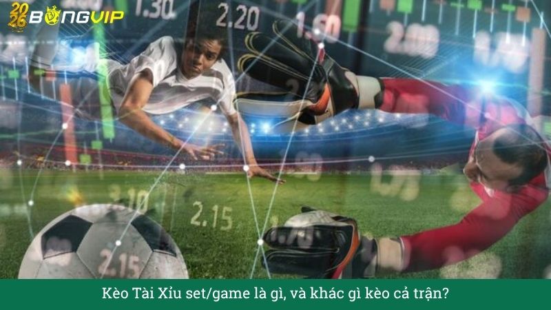 Kèo Tài Xỉu set/game là gì, và khác gì kèo cả trận?