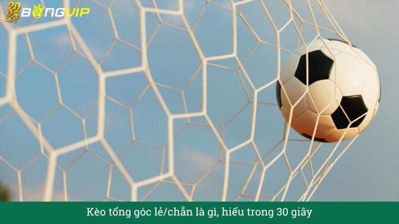 Kèo tổng góc lẻ/chẵn là gì, hiểu trong 30 giây