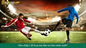 Kèo chấp 1.25 là gì mà dân soi kèo nhắc suốt?