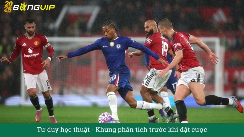 Tư duy học thuật: Khung phân tích trước khi đặt cược
