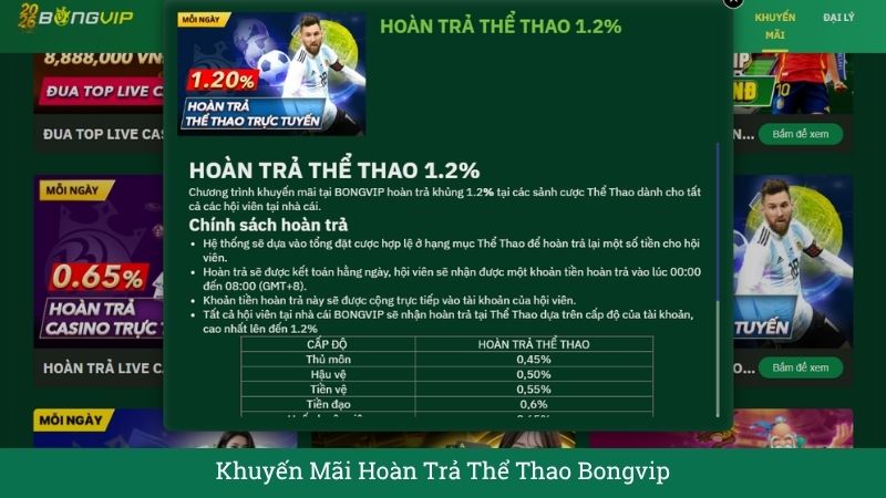 Sức hút từ gói Hoàn trả Thể Thao 1.2% tự động