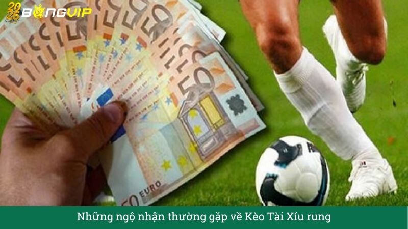 Những ngộ nhận thường gặp về Kèo Tài Xỉu rung
