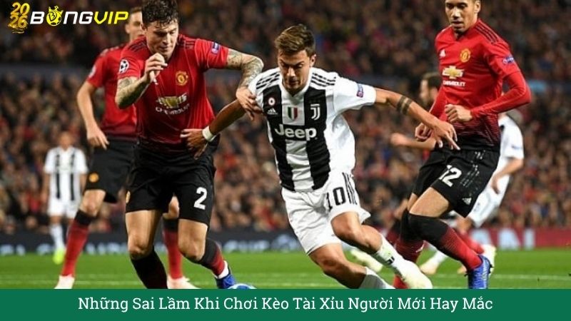 Những Sai Lầm Khi Chơi Kèo Tài Xỉu Người Mới Hay Mắc
