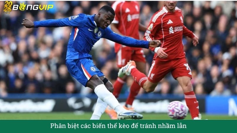 Phân biệt các biến thể kèo để tránh nhầm lẫn