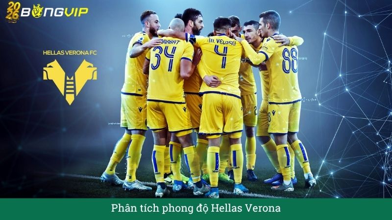 Phân tích phong độ Hellas verona