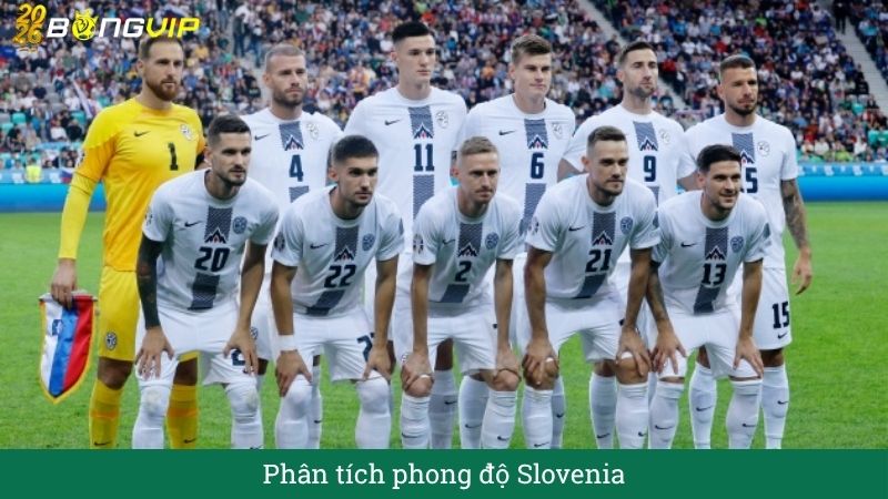 Phân tích phong độ alovenia