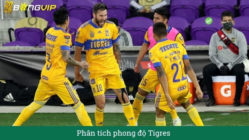 Phân tích phong độ tigres