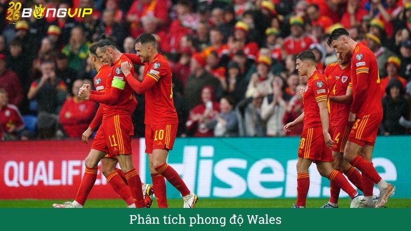 Phân tích phong độ waales