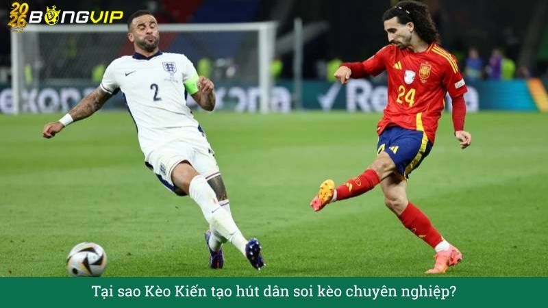 Tại sao Kèo Kiến tạo hút dân soi kèo chuyên nghiệp?