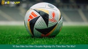 Vì Sao Dân Soi Kèo Chuyên Nghiệp Ưu Tiên Kèo Tài Xỉu?