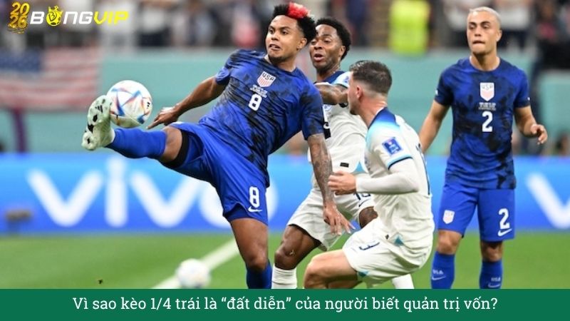 Vì sao kèo 1/4 trái là “đất diễn” của người biết quản trị vốn?