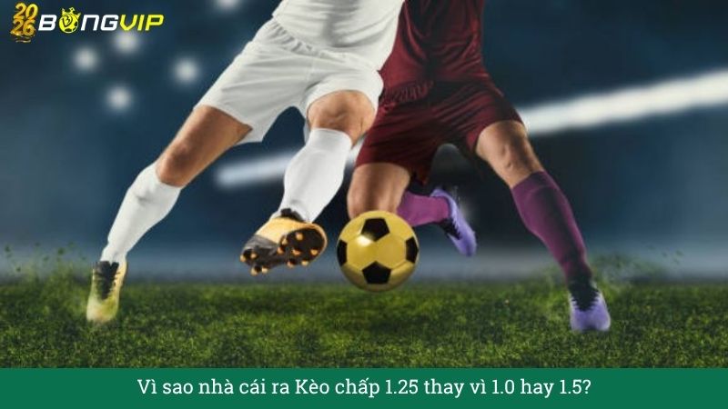Vì sao nhà cái ra Kèo chấp 1.25 thay vì 1.0 hay 1.5?