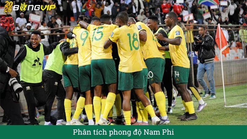 Phân tích phong độ Nam Phi
