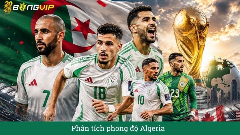Phân tích phong độ algeria