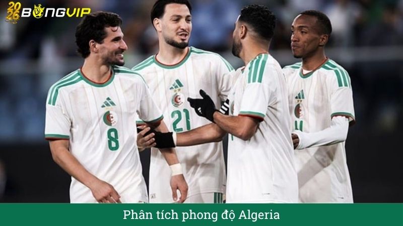 Phân tích phong độ Algeria