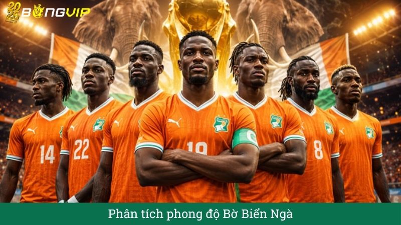 Phân tích phong độ bờ biển ngà
