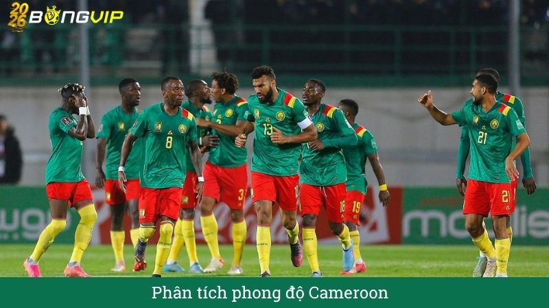 Phân tích phong độ Cameroon
