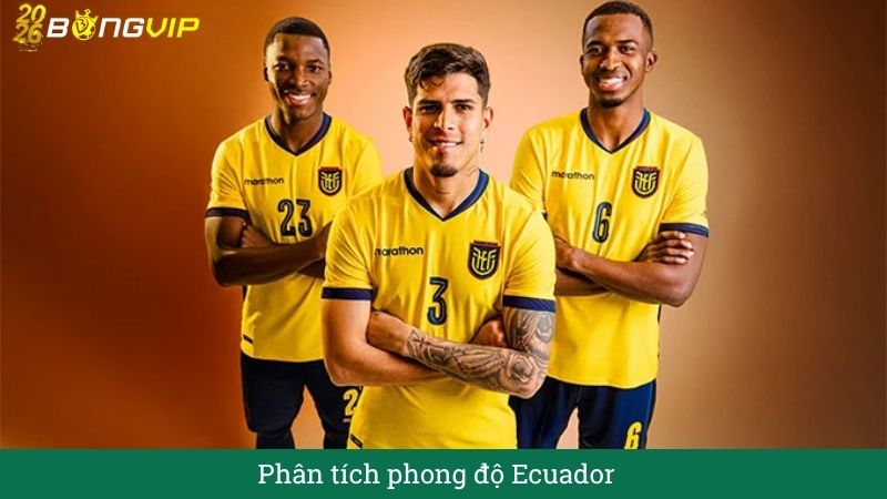 Phân tích phong độ ecuador