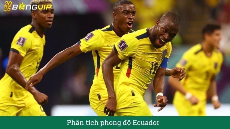 Phân tích phong độ Ecuador