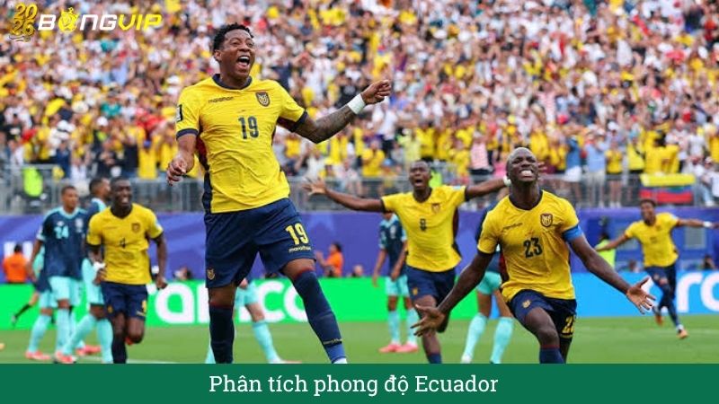 Phân tích phong độ ecuador