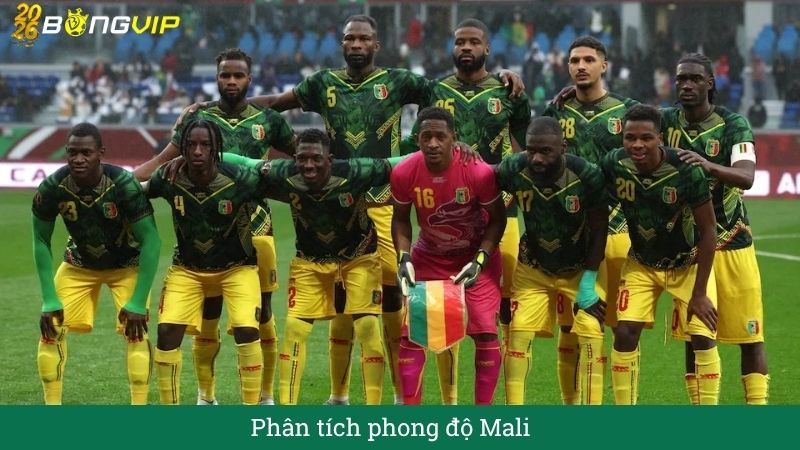 Phân tích phong độ Mali