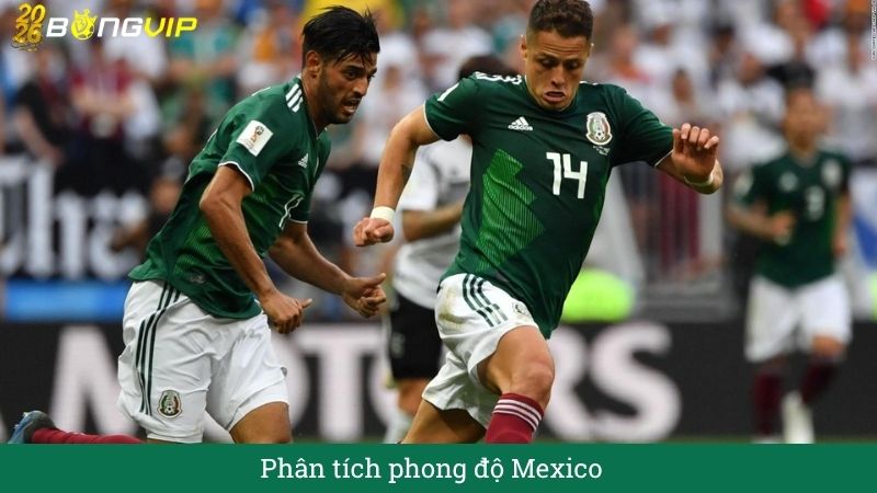 Phân tích phong độ Mexico 