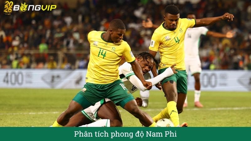 Phân tích phong độ Nam Phi