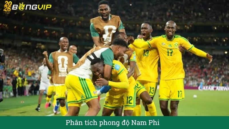 Phân tích phong độ nam phi