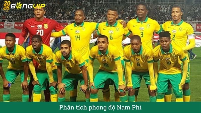 Phân tích phong độ nam phi