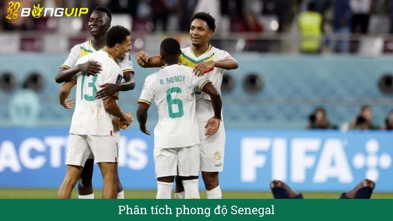 Phân tích phong độ senegal